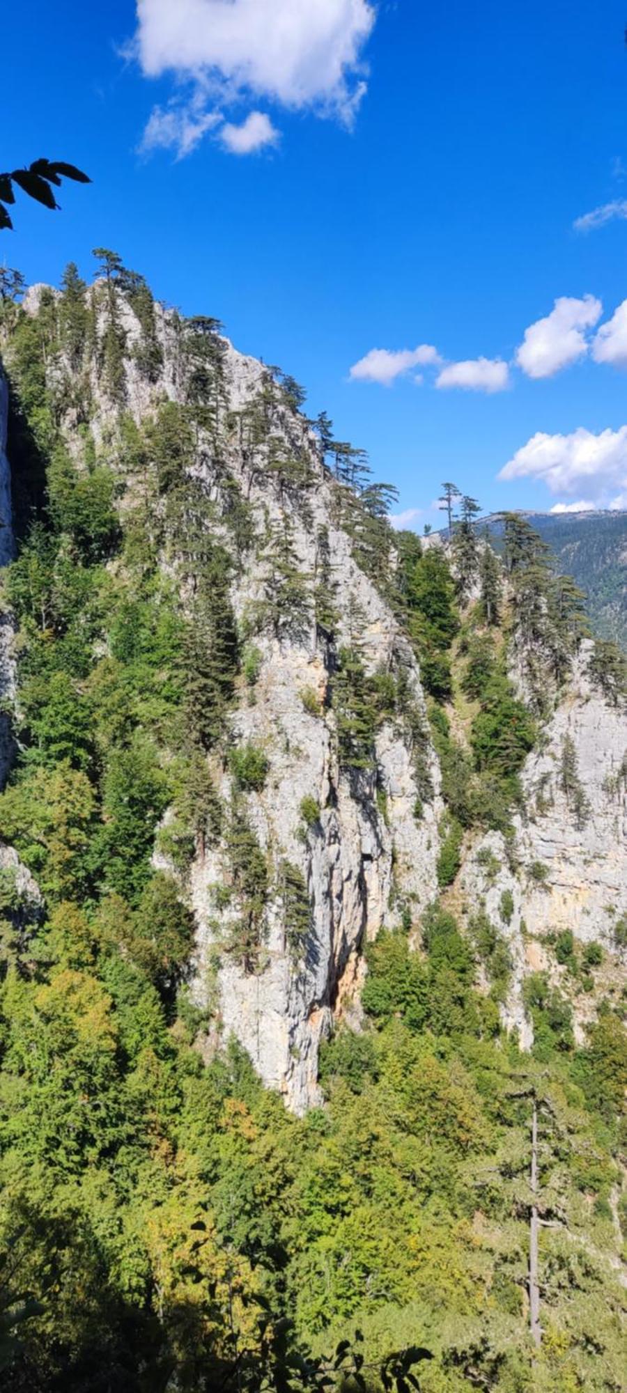 Weekend House In The Piva Nature Park Plužine Extérieur photo